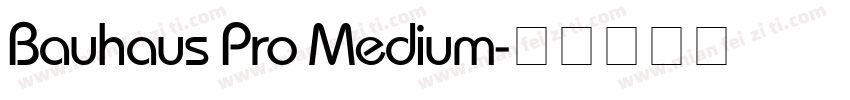 Bauhaus Pro Medium字体转换